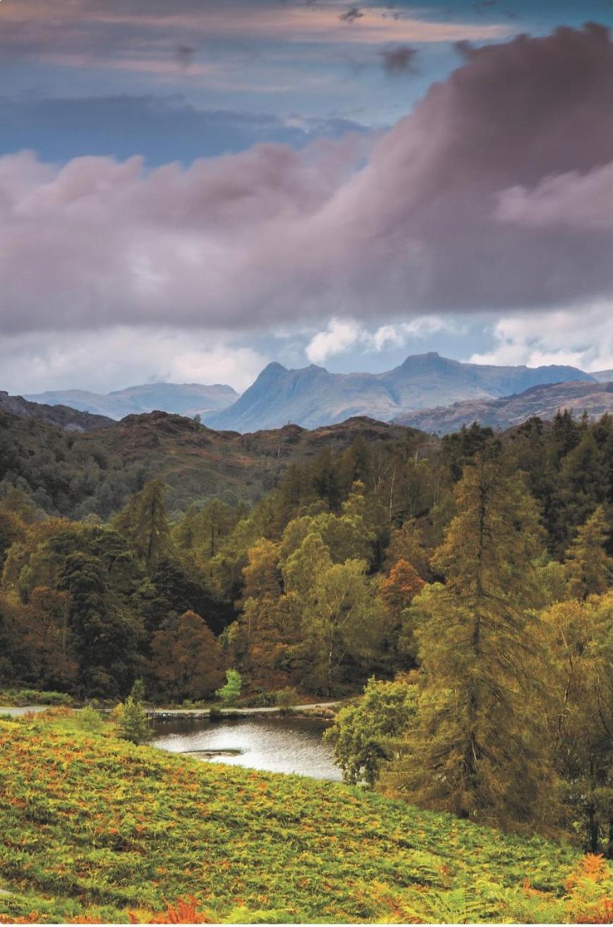 Yewfield Self Catering Apartments Hawkshead Esterno foto